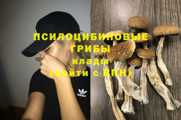 ALPHA PVP Алексин