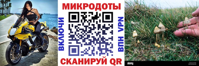 купить наркоту Кизел Галлюциногенные грибы GOLDEN TEACHER